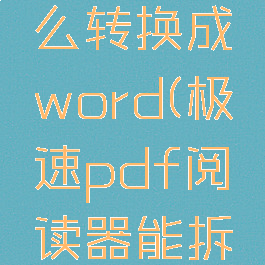 极速pdf阅读器怎么转换成word(极速pdf阅读器能拆分pdf文件吗)