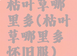 枯叶草哪里多(枯叶草哪里多怀旧服)