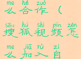 搜狐视频怎么合作(搜狐视频怎么加入自媒体)