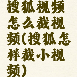 搜狐视频怎么截视频(搜狐怎样截小视频)