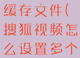 搜狐视频怎么设置多个缓存文件(搜狐视频怎么设置多个缓存文件夹)