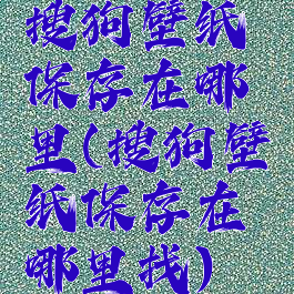 搜狗壁纸保存在哪里(搜狗壁纸保存在哪里找)