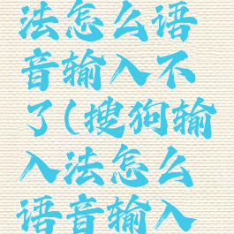 搜狗输入法怎么语音输入不了(搜狗输入法怎么语音输入不了了)