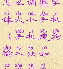 搜狗输入法怎么调整字体大小手机(手机搜狗输入法如何设置字体的大小)