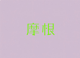 摩根