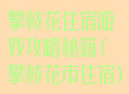 攀枝花住宿游戏攻略秘籍(攀枝花市住宿)