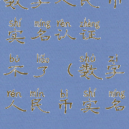 数字人民币实名认证不了(数字人民币实名)