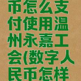 数字人民币怎么支付使用温州永嘉工会(数字人民币怎样支付处理)