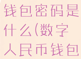 数字人民币钱包密码是什么(数字人民币钱包密码错误)