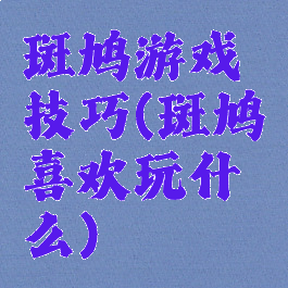 斑鸠游戏技巧(斑鸠喜欢玩什么)