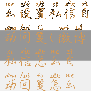 新版微博怎么设置私信自动回复(微博私信怎么自动回复怎么设置)