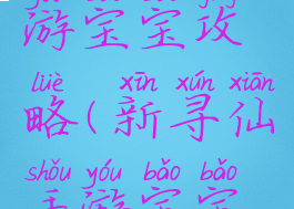 新寻仙手游宝宝攻略(新寻仙手游宝宝攻略最新)
