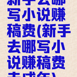 新手去哪写小说赚稿费(新手去哪写小说赚稿费未成年)