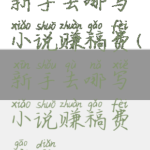 新手去哪写小说赚稿费(新手去哪写小说赚稿费高点)