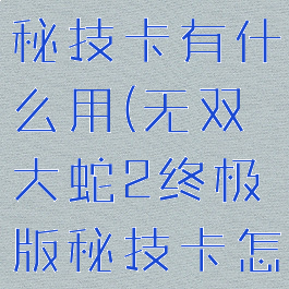无双大蛇2秘技卡有什么用(无双大蛇2终极版秘技卡怎么用)