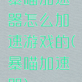 暴喵加速器怎么加速游戏的(暴喵加速器)