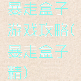 暴走盒子游戏攻略(暴走盒子精)