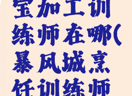 暴风城珠宝加工训练师在哪(暴风城烹饪训练师在哪)