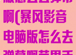 暴风影音电脑版怎么去弹幕啊(暴风影音电脑版怎么去弹幕啊苹果手机)