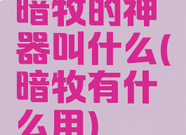 暗牧的神器叫什么(暗牧有什么用)