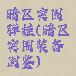 暗区突围弹挂(暗区突围装备图鉴)