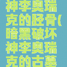 暗黑破坏神李奥瑞克的胫骨(暗黑破坏神李奥瑞克的古墓之杖)