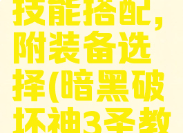 暗黑破坏神3圣教军技能搭配,附装备选择(暗黑破坏神3圣教军技能搭配2020)
