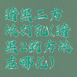 暗黑二方块打孔(暗黑2的方块在哪儿)