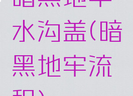 暗黑地牢水沟盖(暗黑地牢流程)