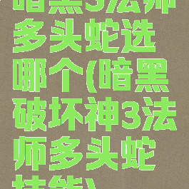 暗黑3法师多头蛇选哪个(暗黑破坏神3法师多头蛇技能)