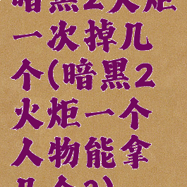 暗黑2火炬一次掉几个(暗黑2火炬一个人物能拿几个?)