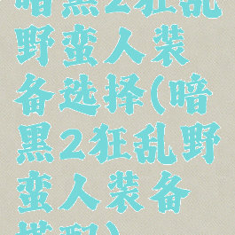 暗黑2狂乱野蛮人装备选择(暗黑2狂乱野蛮人装备搭配)