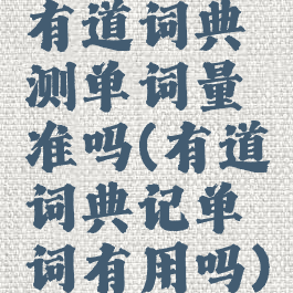 有道词典测单词量准吗(有道词典记单词有用吗)