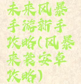 未来风暴手游新手攻略(风暴来袭安卓攻略)