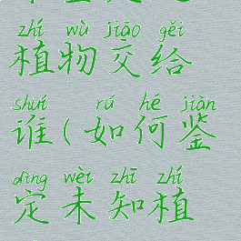 未鉴定过的植物交给谁(如何鉴定未知植物)