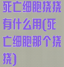 死亡细胞挠挠有什么用(死亡细胞那个挠挠)