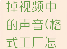 格式工厂中如何去掉视频中的声音(格式工厂怎样去掉视频原音)