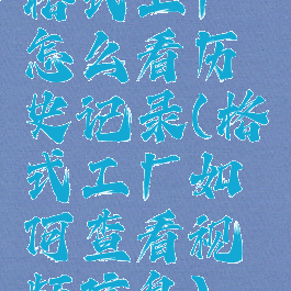 格式工厂怎么看历史记录(格式工厂如何查看视频信息)