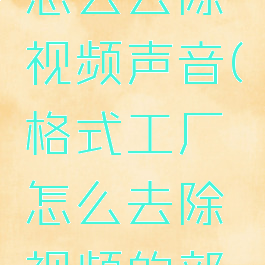 格式工厂怎么去除视频声音(格式工厂怎么去除视频的部分声音)