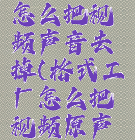 格式工厂怎么把视频声音去掉(格式工厂怎么把视频原声去掉)