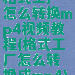 格式工厂怎么转换mp4视频教程(格式工厂怎么转换成mp4)