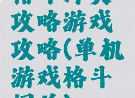 格斗冲突攻略游戏攻略(单机游戏格斗闯关)