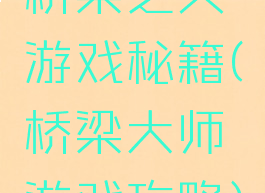 桥梁之父游戏秘籍(桥梁大师游戏攻略)