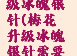 梅花镖升级冰魄银针(梅花镖升级冰魄银针需要多少寒冰)