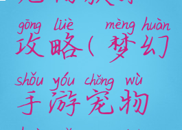 梦幻手游宠物获取攻略(梦幻手游宠物获取攻略视频)