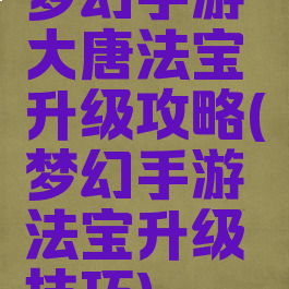 梦幻手游大唐法宝升级攻略(梦幻手游法宝升级技巧)