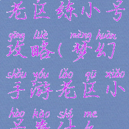 梦幻手游老区练小号攻略(梦幻手游老区小号靠什么赚钱)