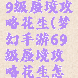 梦幻手游69级蜃境攻略花生(梦幻手游69级蜃境攻略花生怎么打)