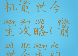 梦幻西游单机前世今生攻略(前世今生的梦幻)