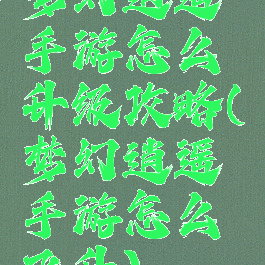 梦幻逍遥手游怎么升级攻略(梦幻逍遥手游怎么飞升)